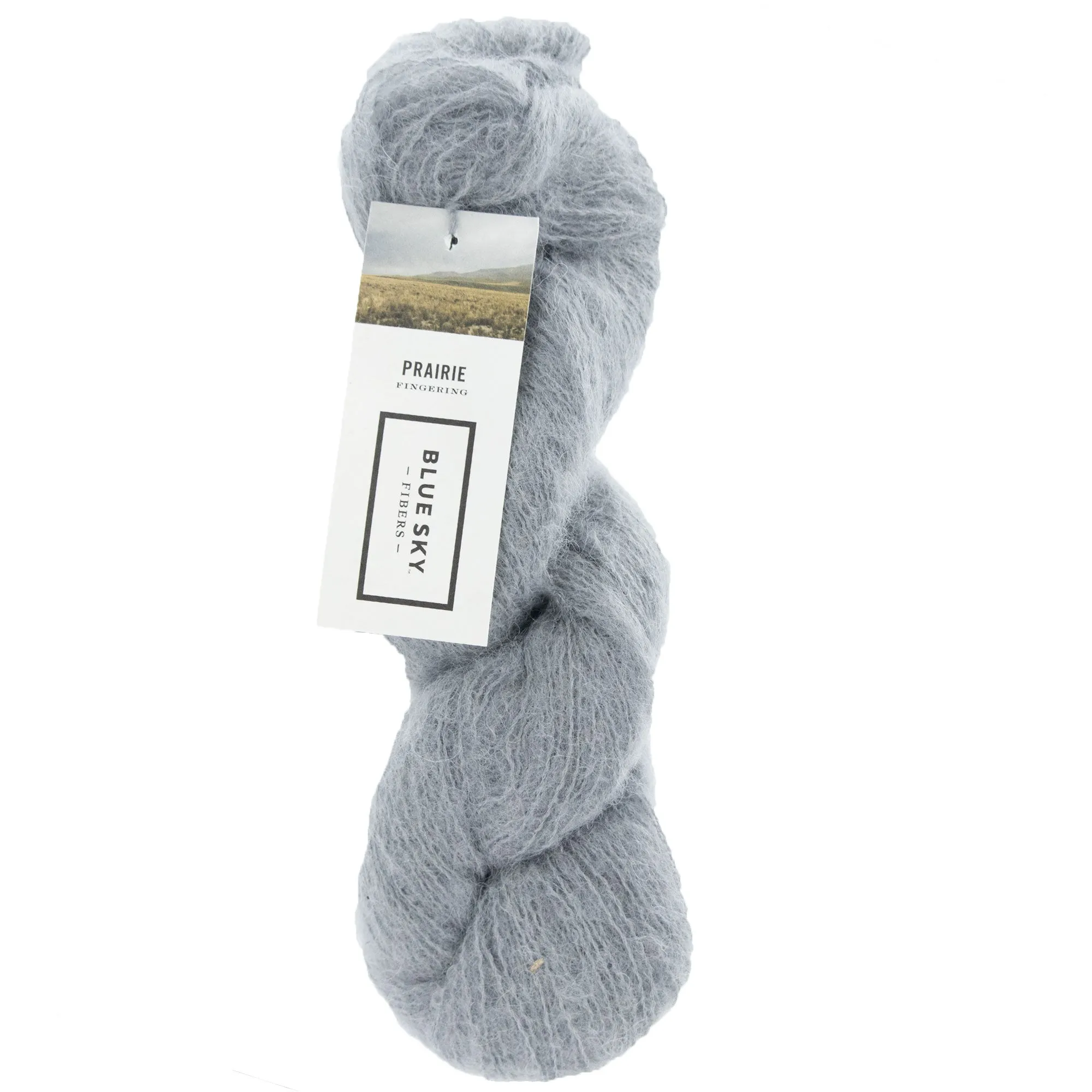 Blue Sky Fibers Prairie Yarn - 1102 - Heron