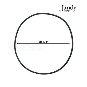 Jandy Tank Top O-Ring For CS Filters | R0462700