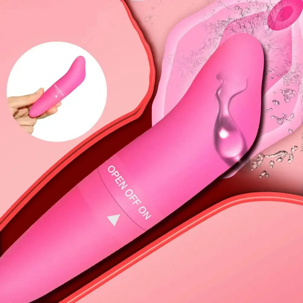 Mini Dolphin Small Vibrator for Women - Thrusting Vibrating Budget Friendly