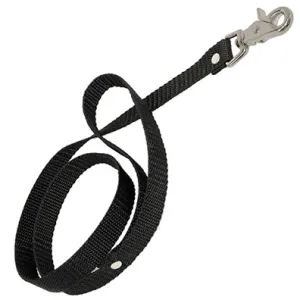 Nylon Webbed Leash